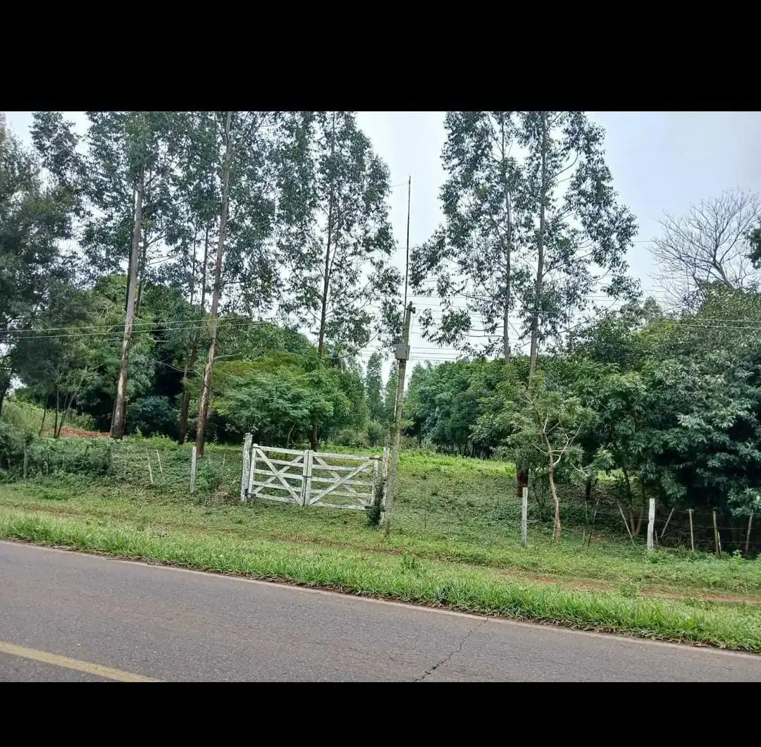65,000 sqm Land in Acahay